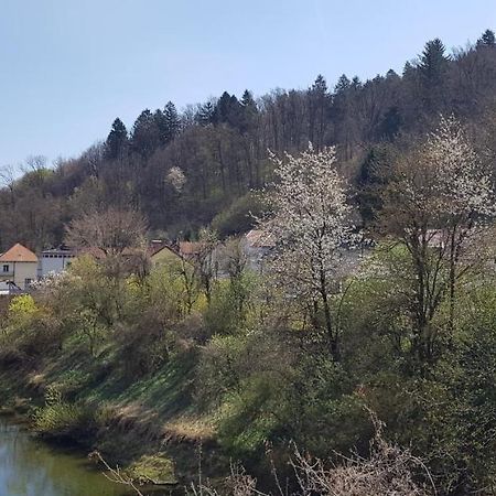 Park Lägenhet Ljubljana Exteriör bild